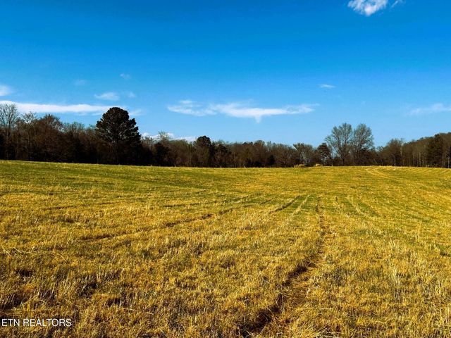 3 Lamontville Rd, Decatur, TN 37322