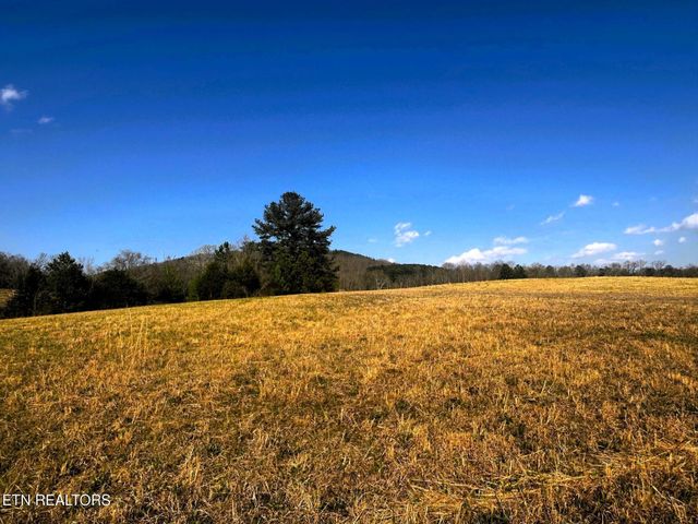 3 Lamontville Rd, Decatur, TN 37322