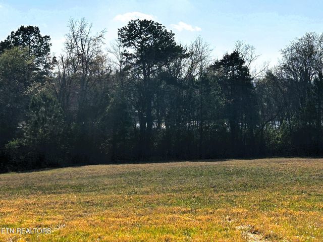 3 Lamontville Rd, Decatur, TN 37322