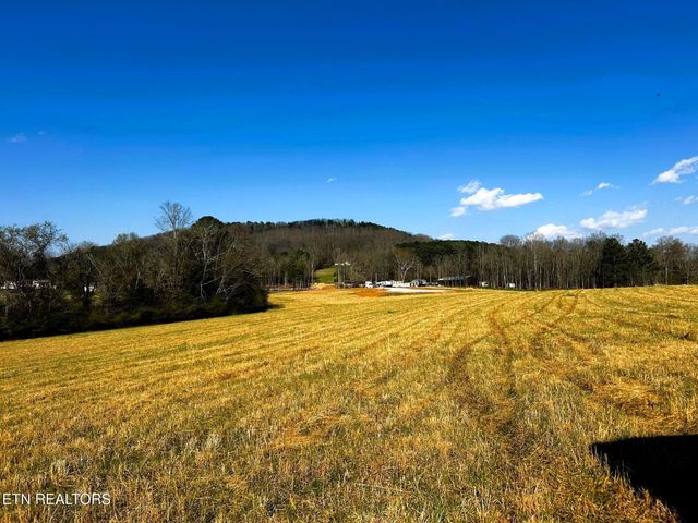 3 Lamontville Rd, Decatur, TN 37322