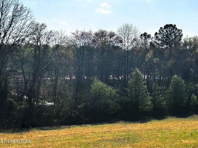 3 Lamontville Rd, Decatur, TN 37322