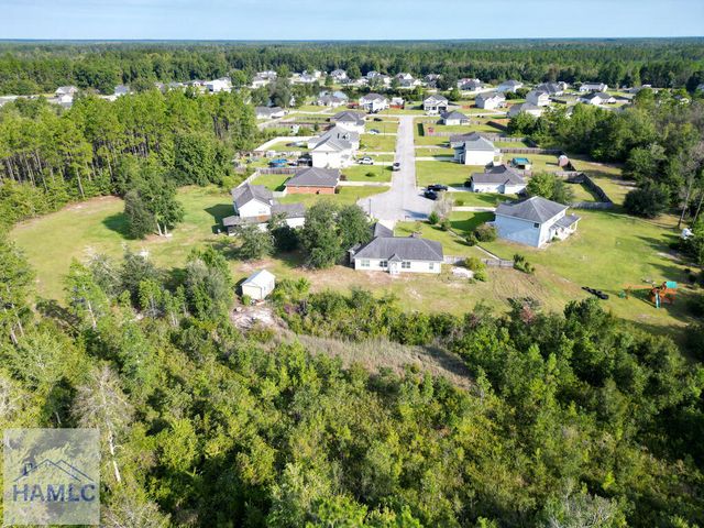 88 Black Gum Drive NE, Ludowici, GA 31316