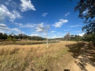 Lot 18 Woodland Ranch Trail, Caldwell, TX 77836