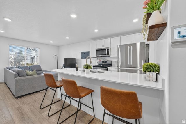 423 N NORTHSHORE DR, Saratoga Springs, UT 84045