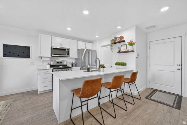 423 N NORTHSHORE DR, Saratoga Springs, UT 84045