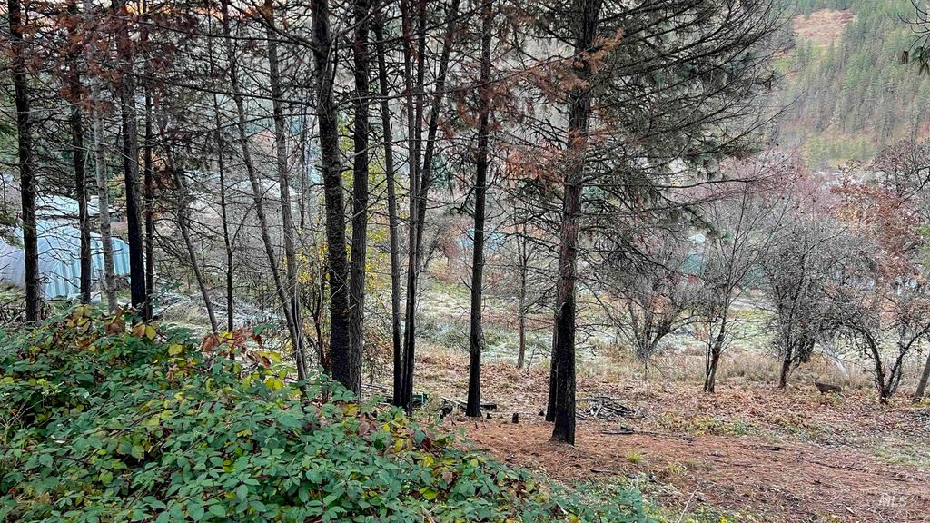 TBD Pine St Blk 43, Lot 3, Peck, ID 83545 photo 15