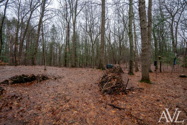 6250 Cannon Highlands Drive NE, Belmont, MI 49306