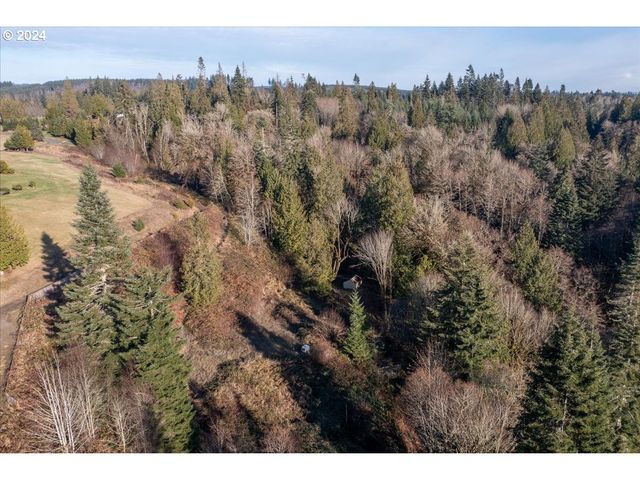 145 NEWT ESTATES Rd W, Longview, WA 98632