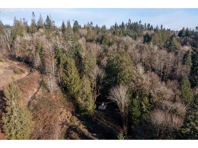 145 NEWT ESTATES Rd W, Longview, WA 98632