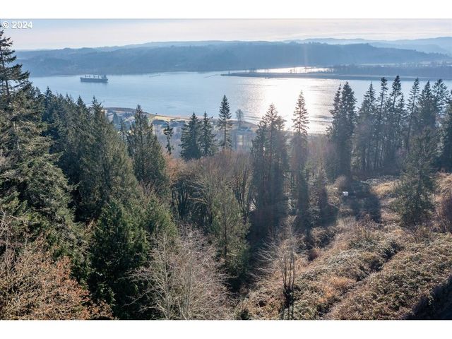 145 NEWT ESTATES Rd W, Longview, WA 98632