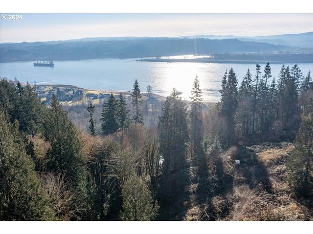 145 NEWT ESTATES Rd W, Longview, WA 98632