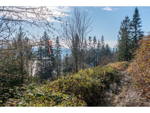 145 NEWT ESTATES Rd W, Longview, WA 98632