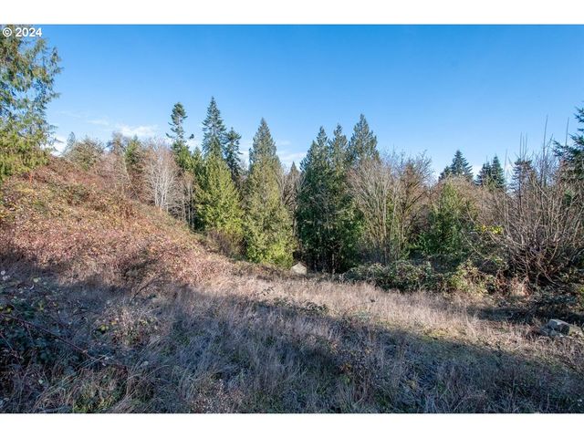 145 NEWT ESTATES Rd W, Longview, WA 98632