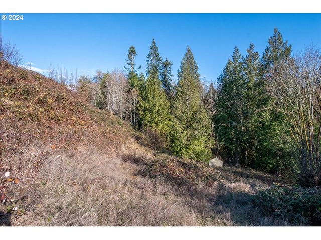 145 NEWT ESTATES Rd W, Longview, WA 98632