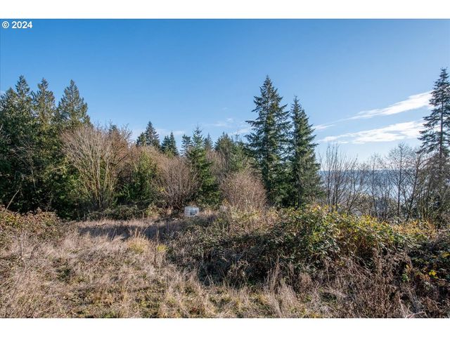 145 NEWT ESTATES Rd W, Longview, WA 98632