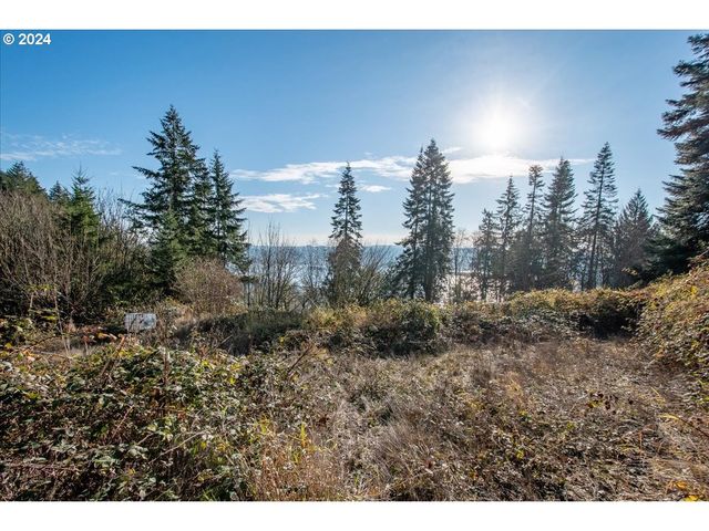 145 NEWT ESTATES Rd W, Longview, WA 98632