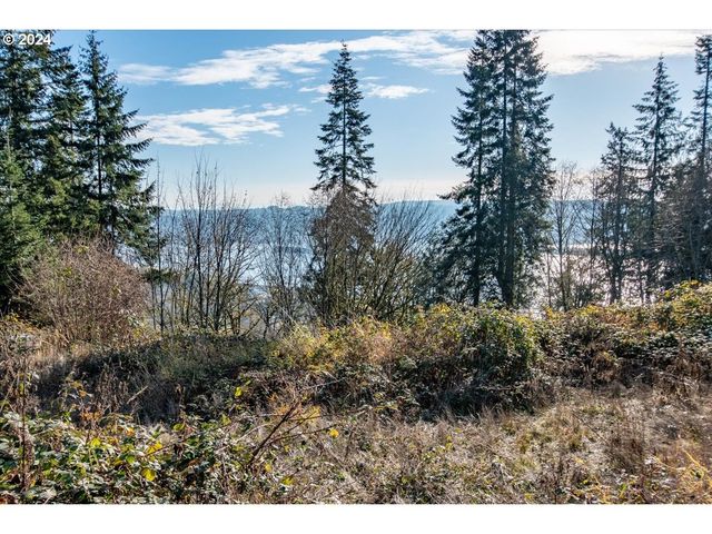 145 NEWT ESTATES Rd W, Longview, WA 98632