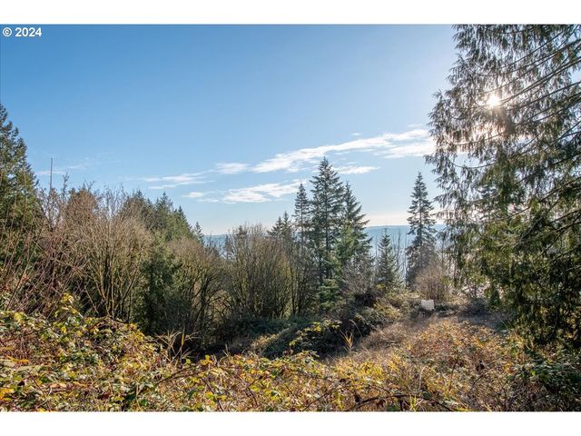 145 NEWT ESTATES Rd W, Longview, WA 98632