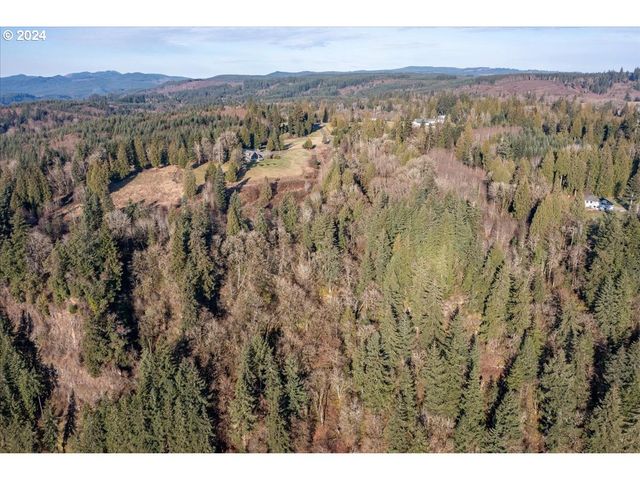 145 NEWT ESTATES Rd W, Longview, WA 98632