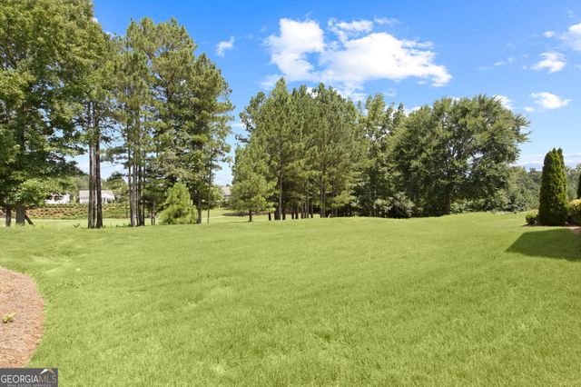 810 Dusky Sap Court, Griffin, GA 30223