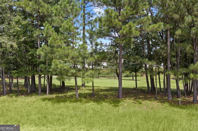 810 Dusky Sap Court, Griffin, GA 30223