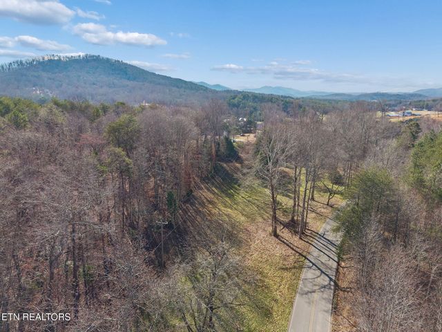 1033 Gamble Gap Rd, Tellico Plains, TN 37385