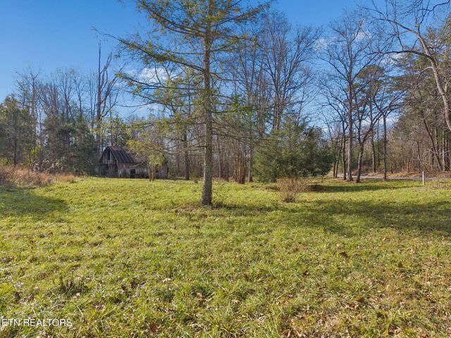 1033 Gamble Gap Rd, Tellico Plains, TN 37385