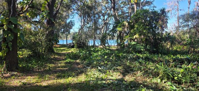 9906 GUNN HIGHWAY, Odessa, FL 33556