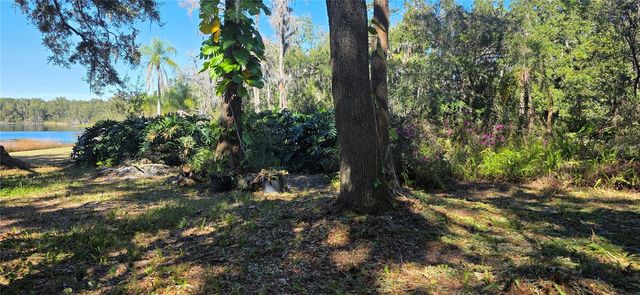 9906 GUNN HIGHWAY, Odessa, FL 33556