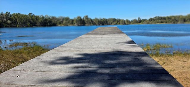 9906 GUNN HIGHWAY, Odessa, FL 33556