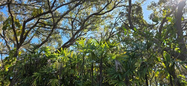 9906 GUNN HIGHWAY, Odessa, FL 33556