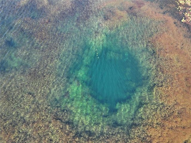 9906 GUNN HIGHWAY, Odessa, FL 33556