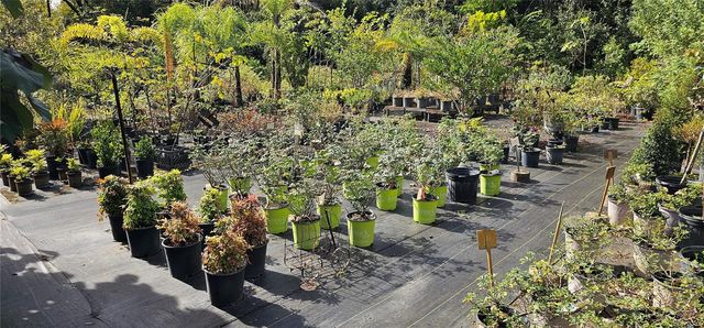 9906 GUNN HIGHWAY, Odessa, FL 33556