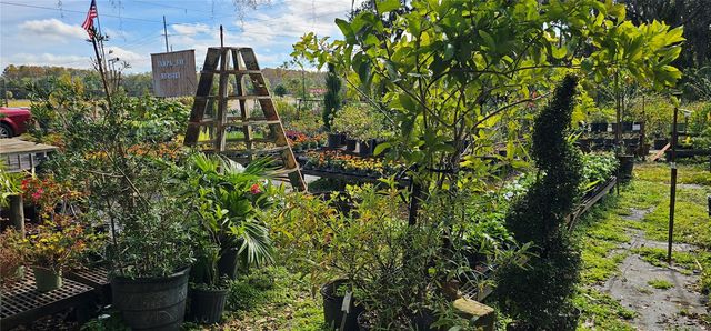 9906 GUNN HIGHWAY, Odessa, FL 33556