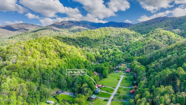 119 Seth Street, Roan Mountain, TN 37687