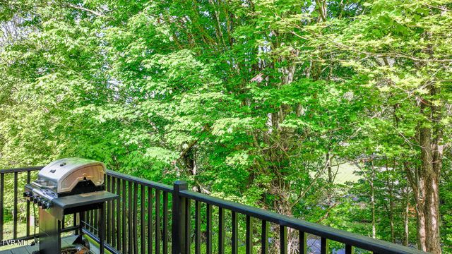 119 Seth Street, Roan Mountain, TN 37687