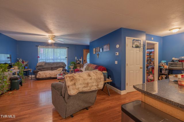119 Seth Street, Roan Mountain, TN 37687