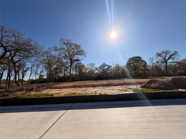 8519 Light Rail Drive, Fulshear, TX 77441