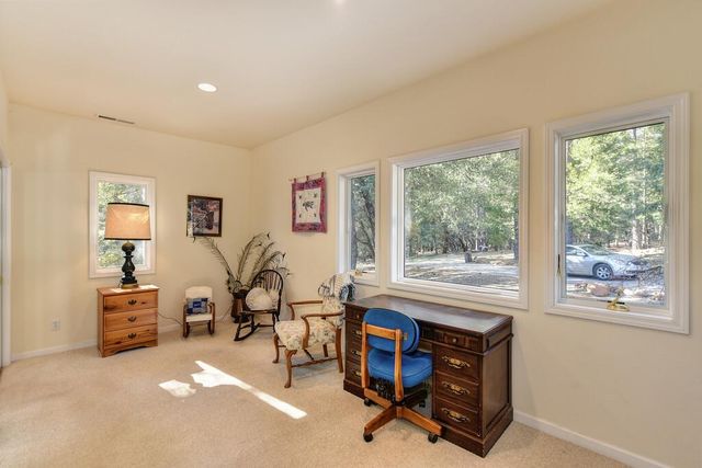 24200 Golden Ridge Dr, Volcano, CA 95689