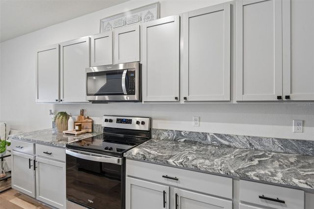 2918 FLOWERING MOSS RUN, Wesley Chapel, FL 33543