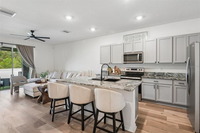 2918 FLOWERING MOSS RUN, Wesley Chapel, FL 33543