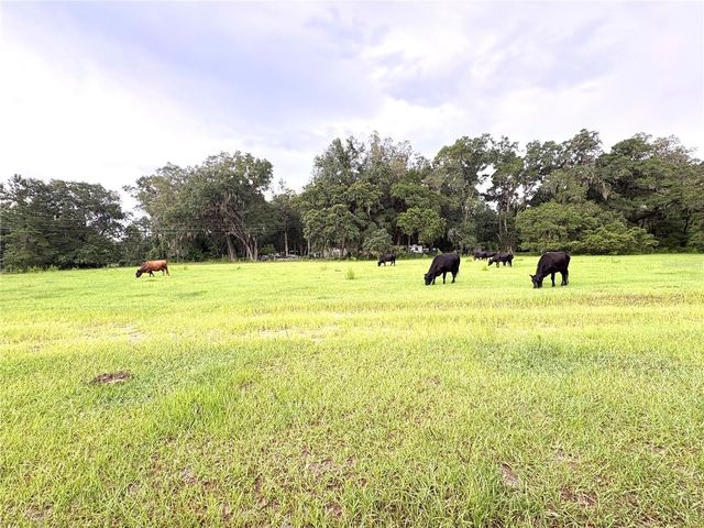 7532 SW 122ND STREET, Gainesville, FL 32608