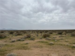 8133 Near Helendale, Helendale, CA 92342