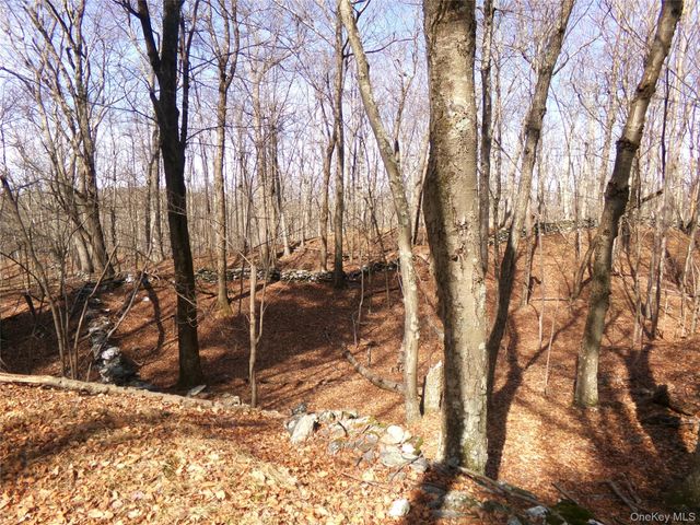 303 Hicks Hill Road, Stanfordville, NY 12582