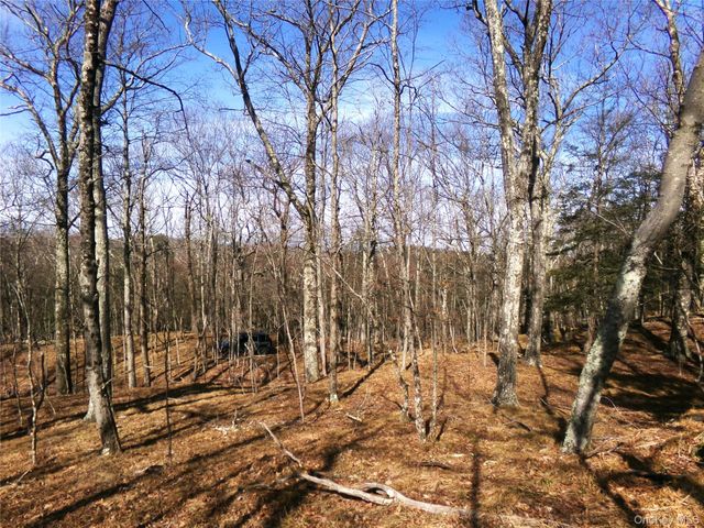 303 Hicks Hill Road, Stanfordville, NY 12582