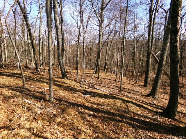 303 Hicks Hill Road, Stanfordville, NY 12582