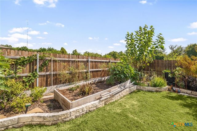 449 Conchillos Drive, Georgetown, TX 78626