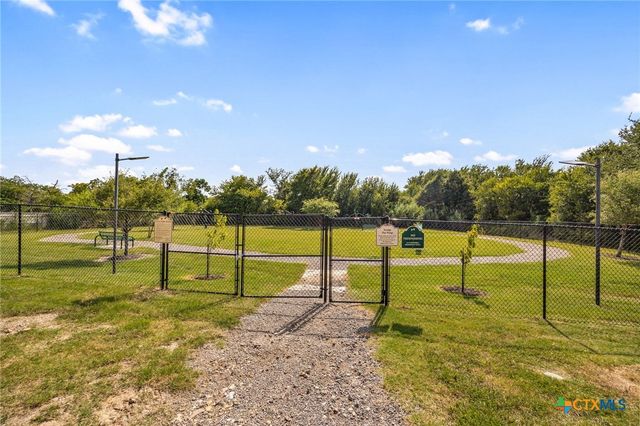 449 Conchillos Drive, Georgetown, TX 78626