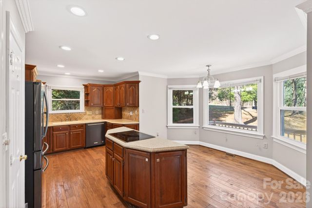 4711 Mountain Point Lane, Charlotte, NC 28216