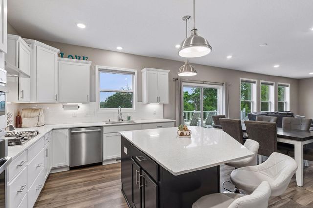 12919 Amiens Circle, Rosemount, MN 55068